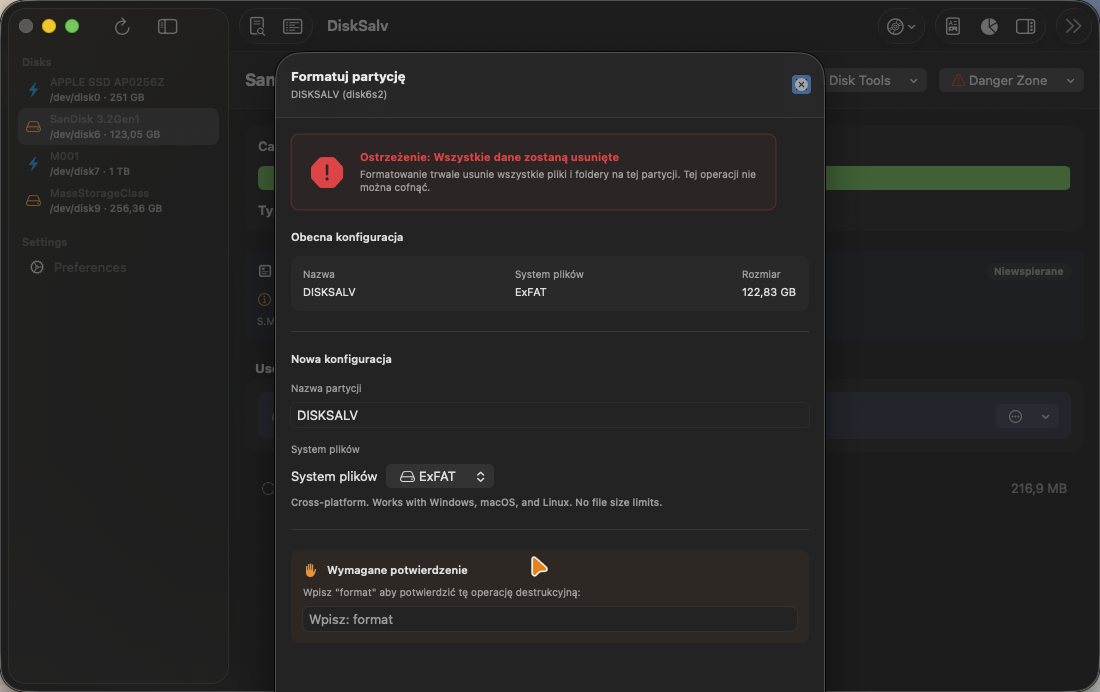 Format Partition dialog with a typed confirmation guard